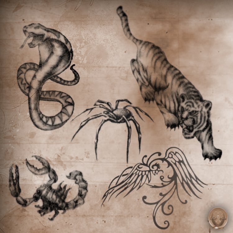   Real Tattoos Animals MR