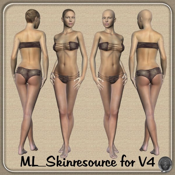   Skin MR V4 [exc]