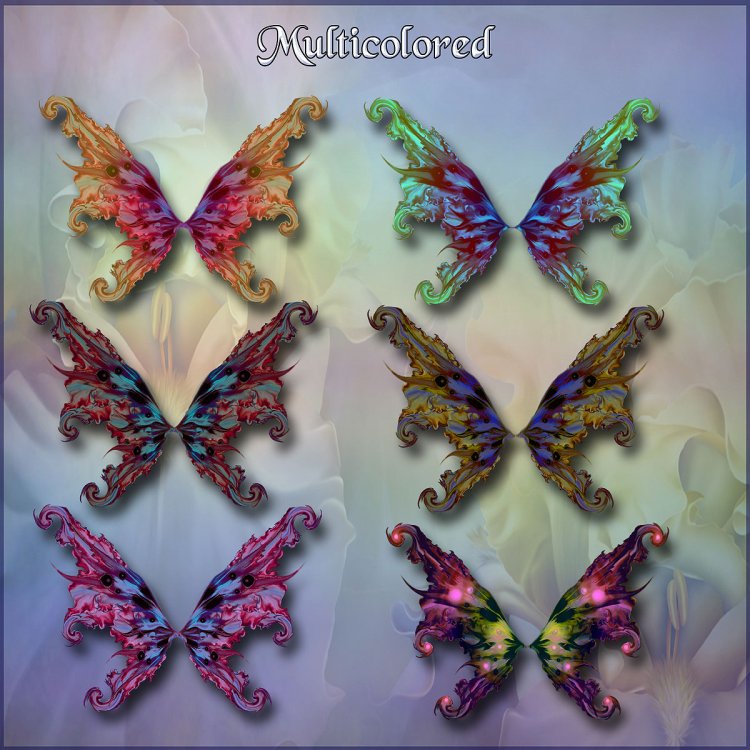   Flights of Fantasy Wings