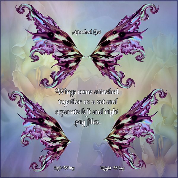   Flights of Fantasy Wings