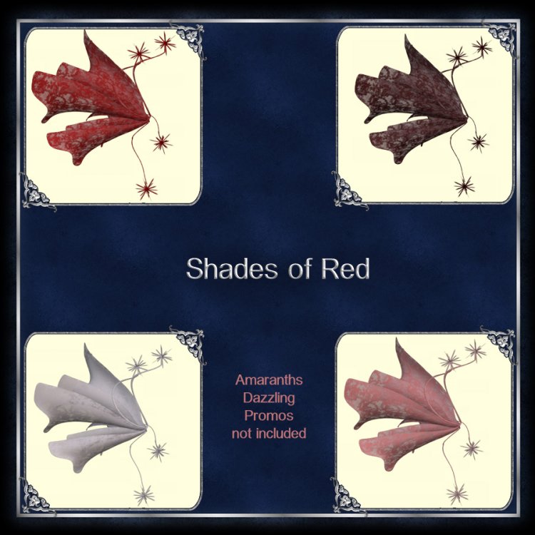   Rainbows of Lace Wings [exc]