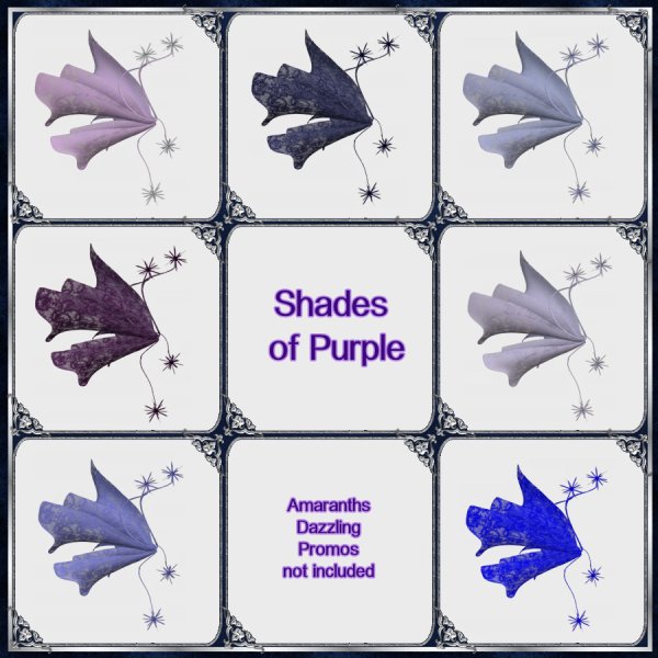   Rainbows of Lace Wings [exc]