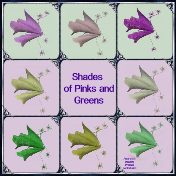   Rainbows of Lace Wings [exc]