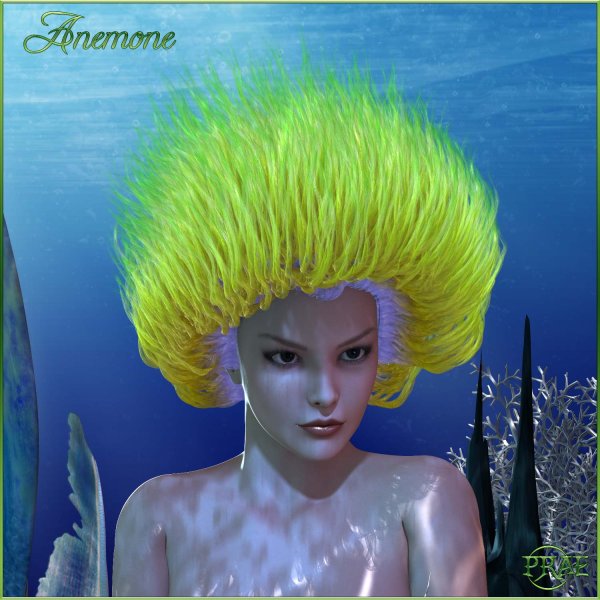   Anemone Hair PS