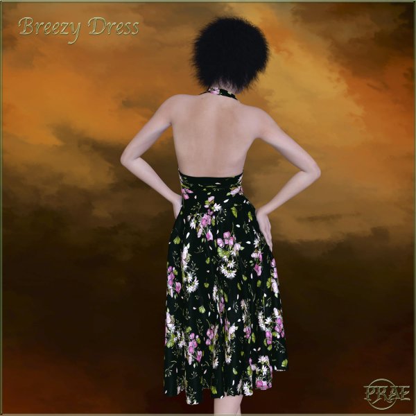   Breezy Dress PS [LF]