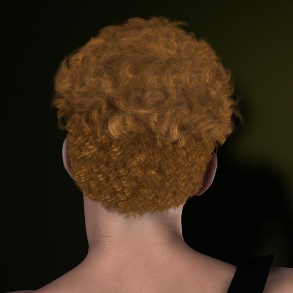   Broc Hair Poser [exc]