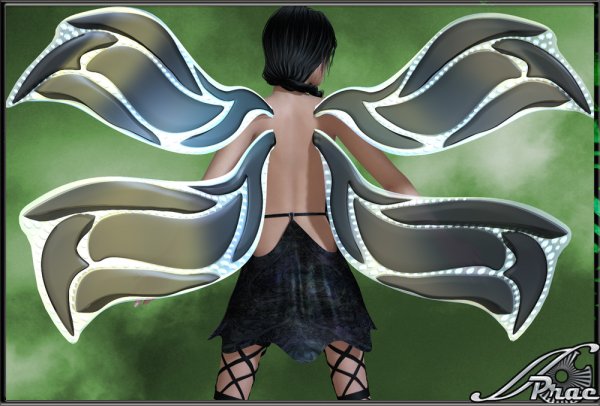   Bejewelled Wings