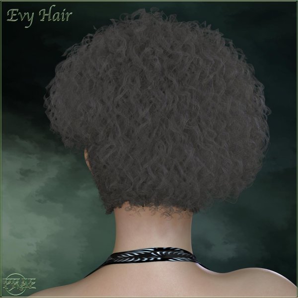   Evy Hair PS