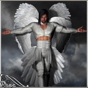   Eclipse Wings