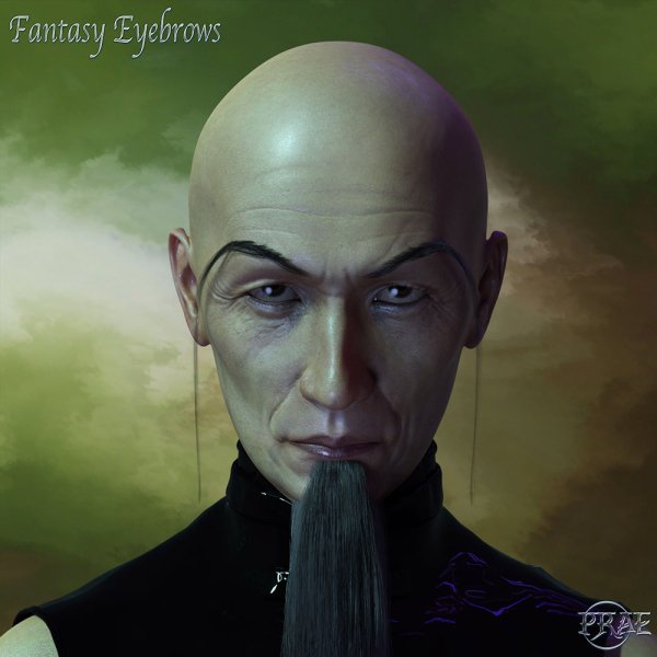   Fantasy Eyebrows DS [exc]