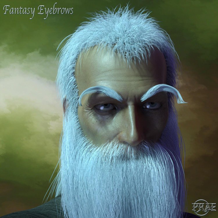   Fantasy Eyebrows DS [exc]