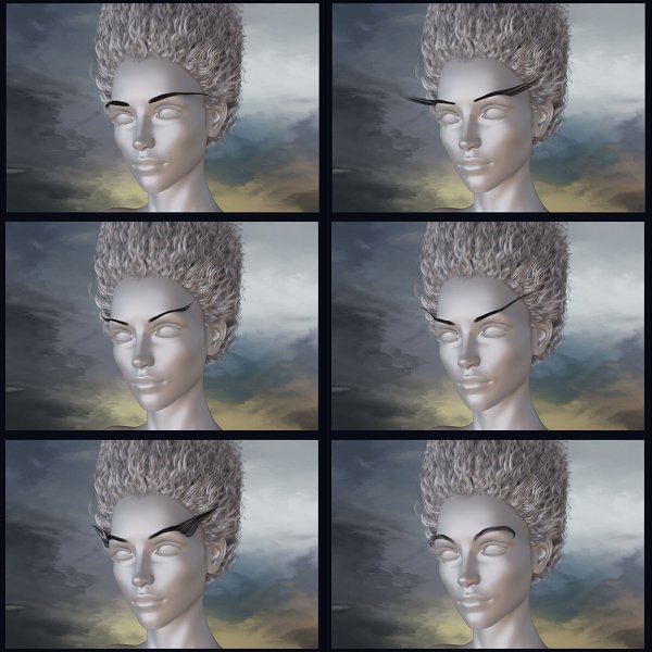   Fantasy Eyebrows DS [exc]