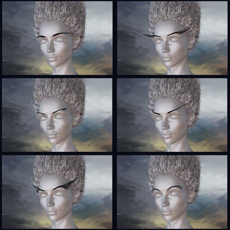   Fantasy Eyebrows DS [exc]