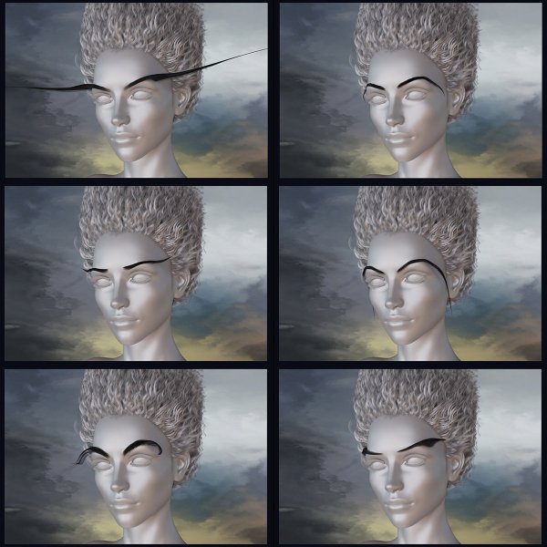   Fantasy Eyebrows DS [exc]