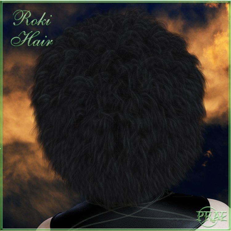   Roki Hair V4/M4/A4/G1/G2/V6 [exc]