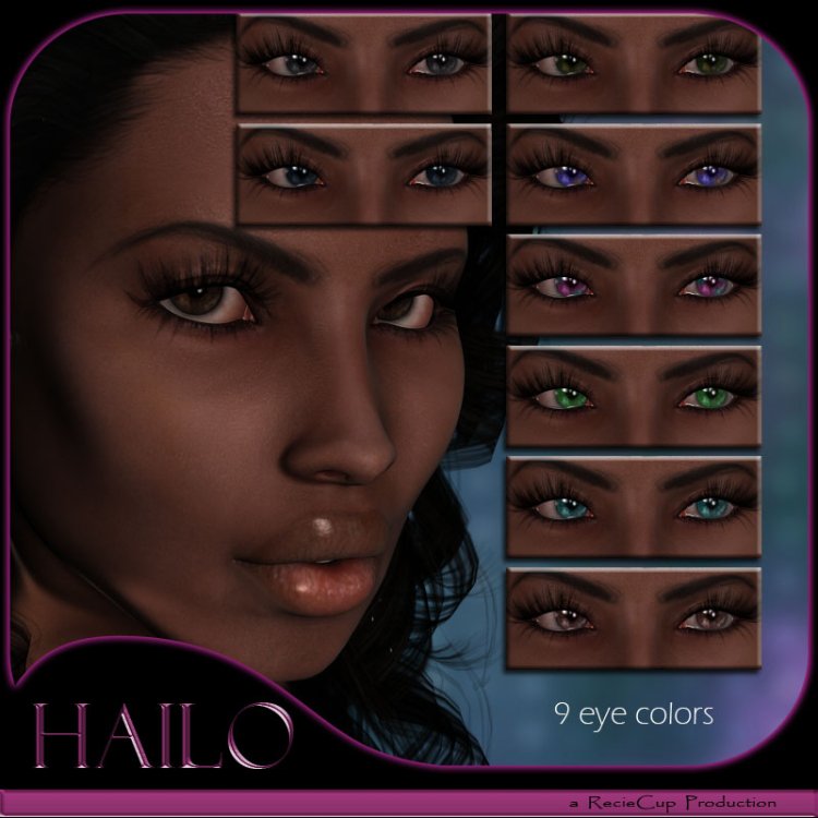   Hailo V4 [exc]