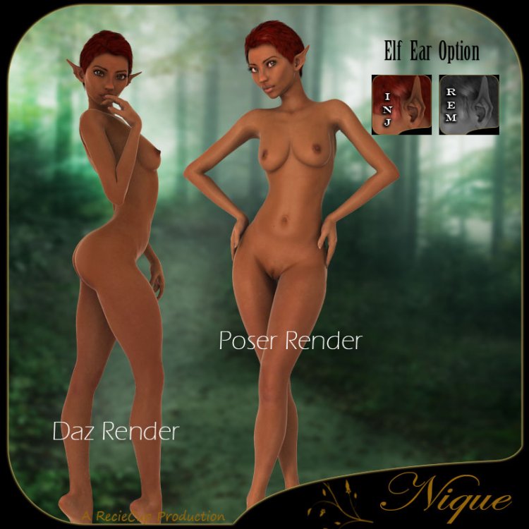   Nique A4 [exc]