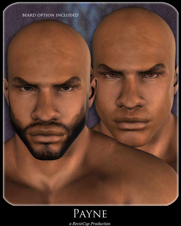   Payne and Punisher Set [exc]