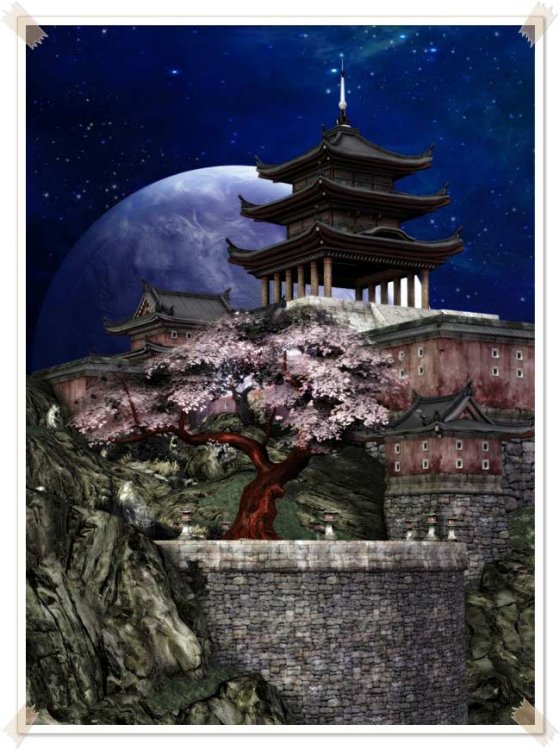   Cherry Tree Garden