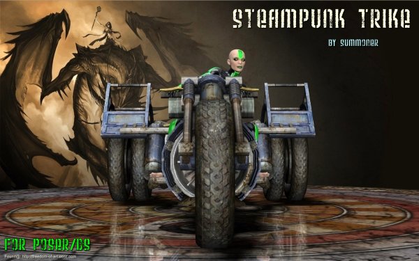   SeamPunk Trike