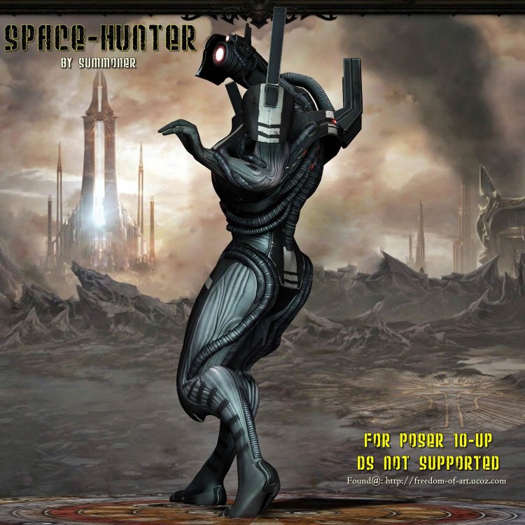   Space Hunter DS