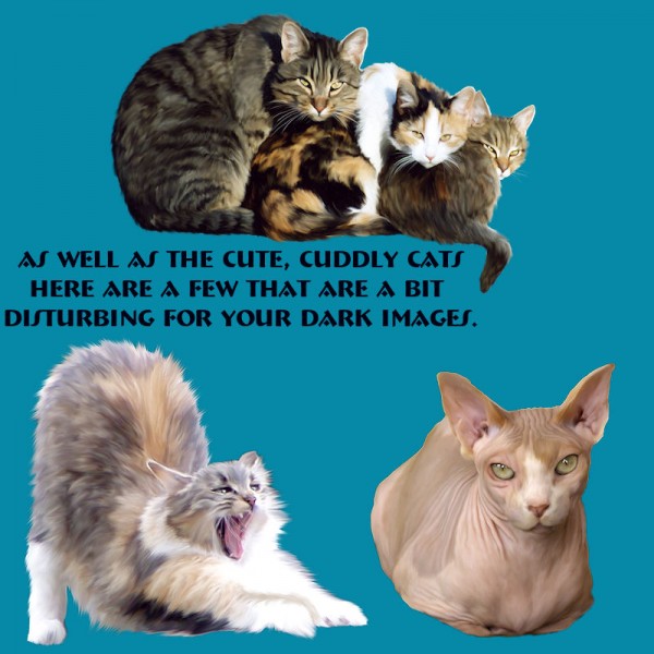   Cat Capers [exc]