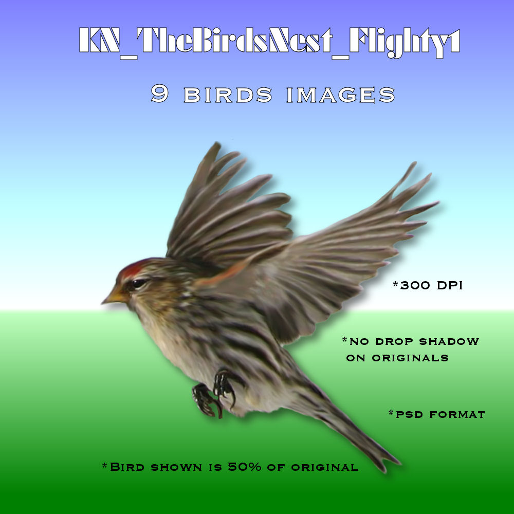   Birds Nest Flighty [exc]