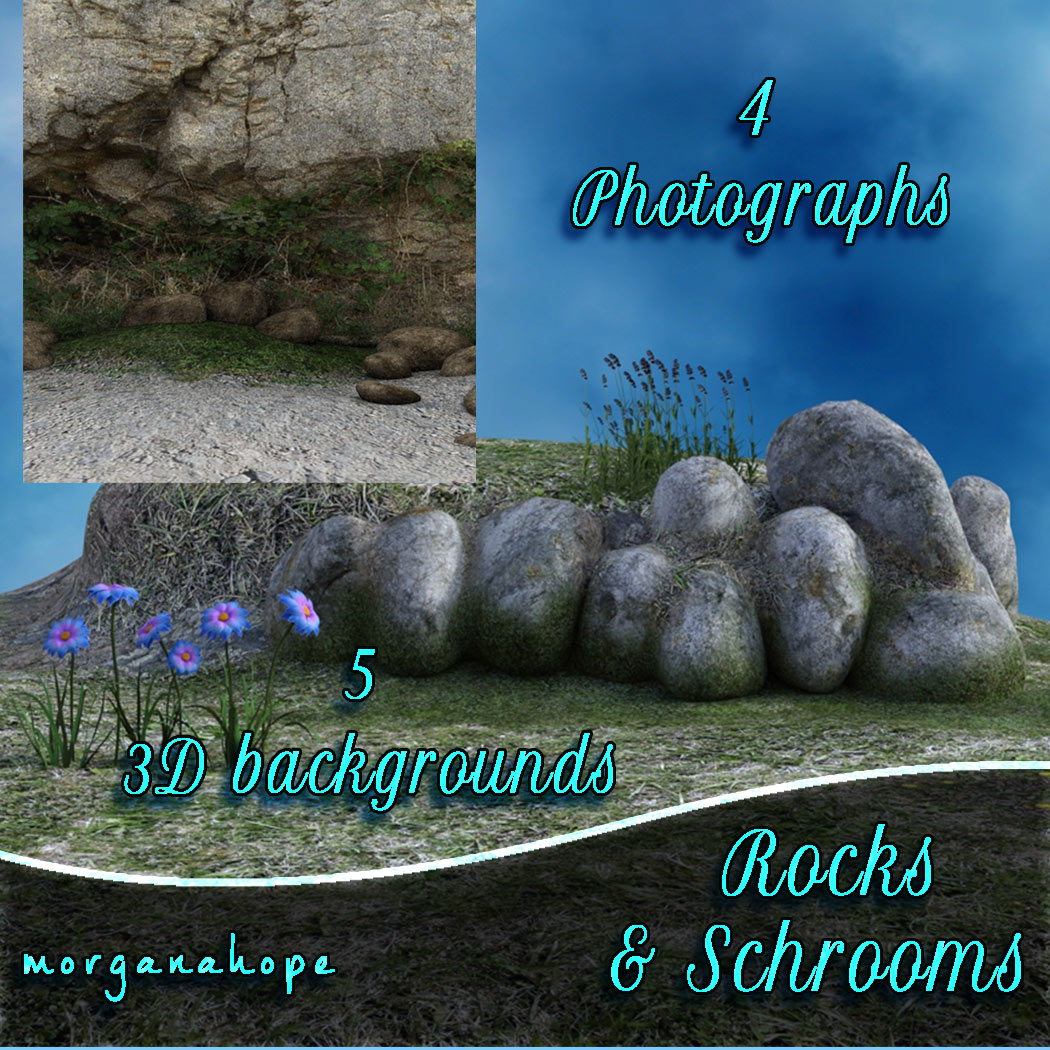   Rocks and Shrooms [exc]