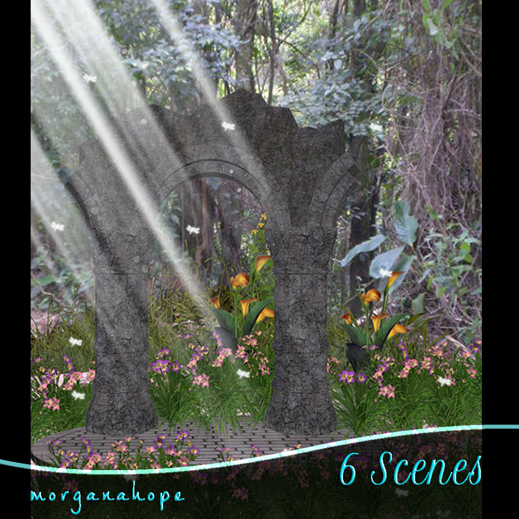   Scenic Backs 2 [exc]