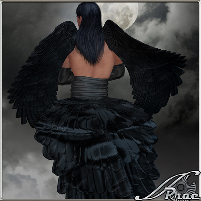   Eclipse Wings